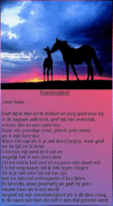 paardengebed