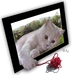 poes in kader