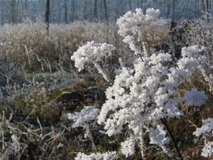 prachtige natuur