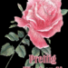 prettig weekend