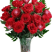 RODE ROZEN