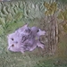 Schilderwerken cursus  tentoonstelling 2011 005