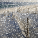 sneeuwlandschap