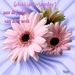 verjaardagskaart met gerbera!!