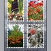 vier-seizoenen-bloemen