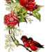 vogels