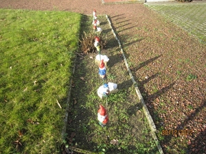 30-12-2012 wandelen Halle Zoersel 014