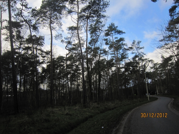 30-12-2012 wandelen Halle Zoersel 021