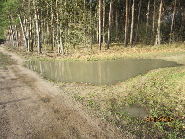 30-12-2012 wandelen Halle Zoersel 029