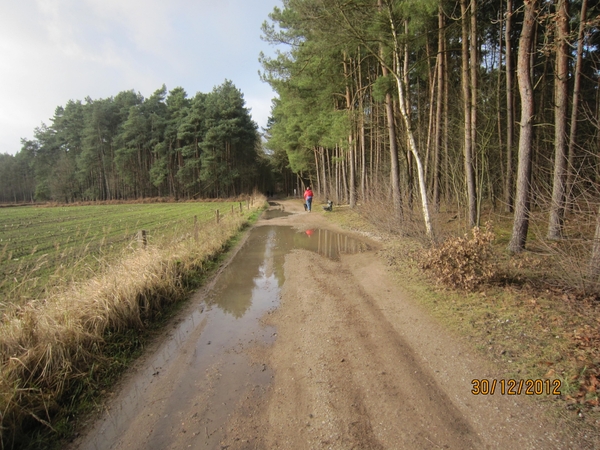 30-12-2012 wandelen Halle Zoersel 030
