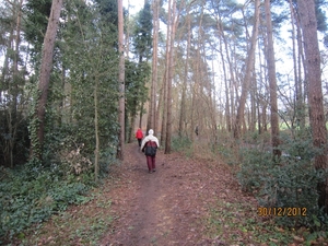 30-12-2012 wandelen Halle Zoersel 047