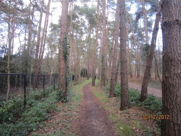 30-12-2012 wandelen Halle Zoersel 048