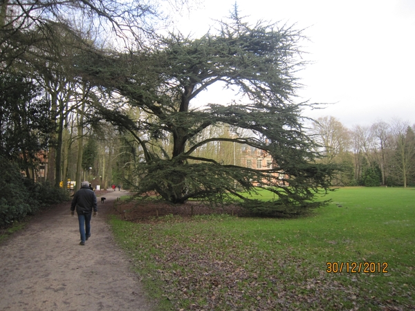 30-12-2012 wandelen Halle Zoersel 055