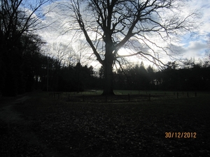 30-12-2012 wandelen Halle Zoersel 061