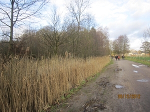 30-12-2012 wandelen Halle Zoersel 064