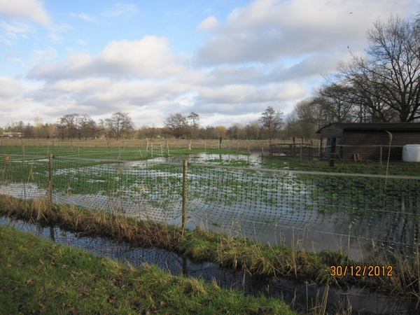 30-12-2012 wandelen Halle Zoersel 065