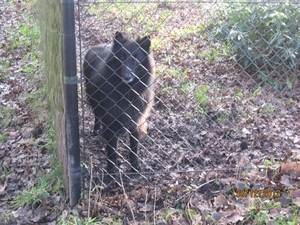 30-12-2012 wandelen Halle Zoersel 082