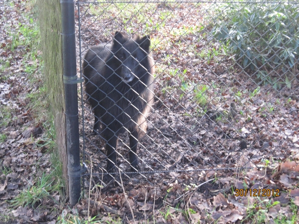 30-12-2012 wandelen Halle Zoersel 082