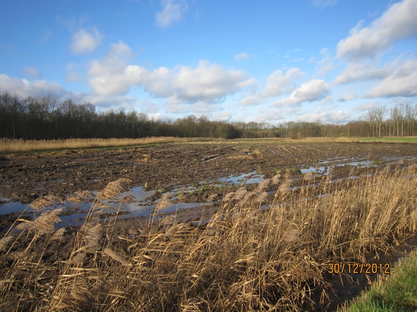 30-12-2012 wandelen Halle Zoersel 089