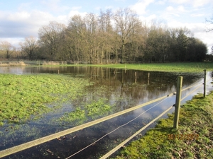 30-12-2012 wandelen Halle Zoersel 101