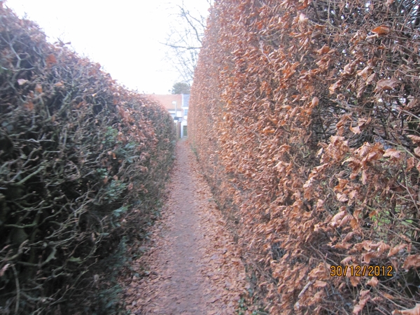 30-12-2012 wandelen Halle Zoersel 126