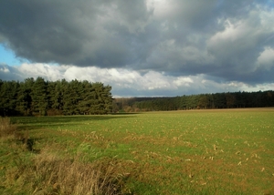 Langs Meldert