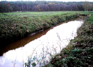 Door de Zwarte Beek vallei