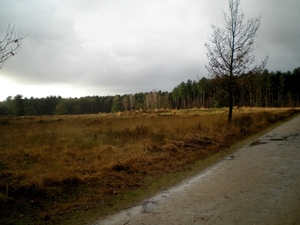 Rechts van