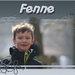 Fenne2