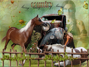 contry