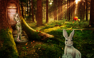 enchanted_forest-wide
