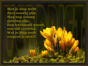 VERDRIET_bewerkt-2