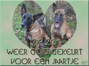 Naamloos-1