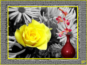 bloem%201