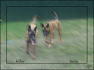 wandelen met een wazig effect
