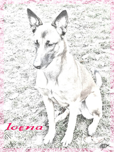 loena
