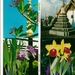 bangkok 0003