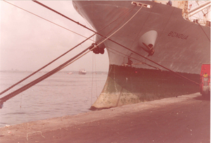 zicht op de lagune van Abidjan