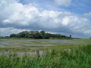 PICT0590