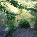 Wandeling Ursel002