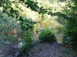 Wandeling Ursel002