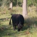 Wandeling Ursel008