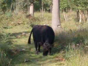 Wandeling Ursel008