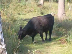 Wandeling Ursel009