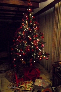 Kerstboom 2012 (4)