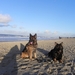 Op het strand van Cadzand