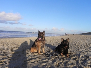 Op het strand van Cadzand