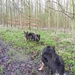 op stap met Auran en Zapp