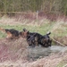 alle 4 aan het water