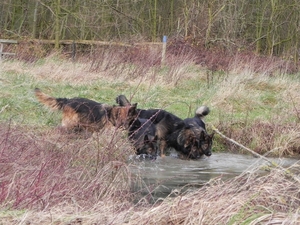 alle 4 aan het water